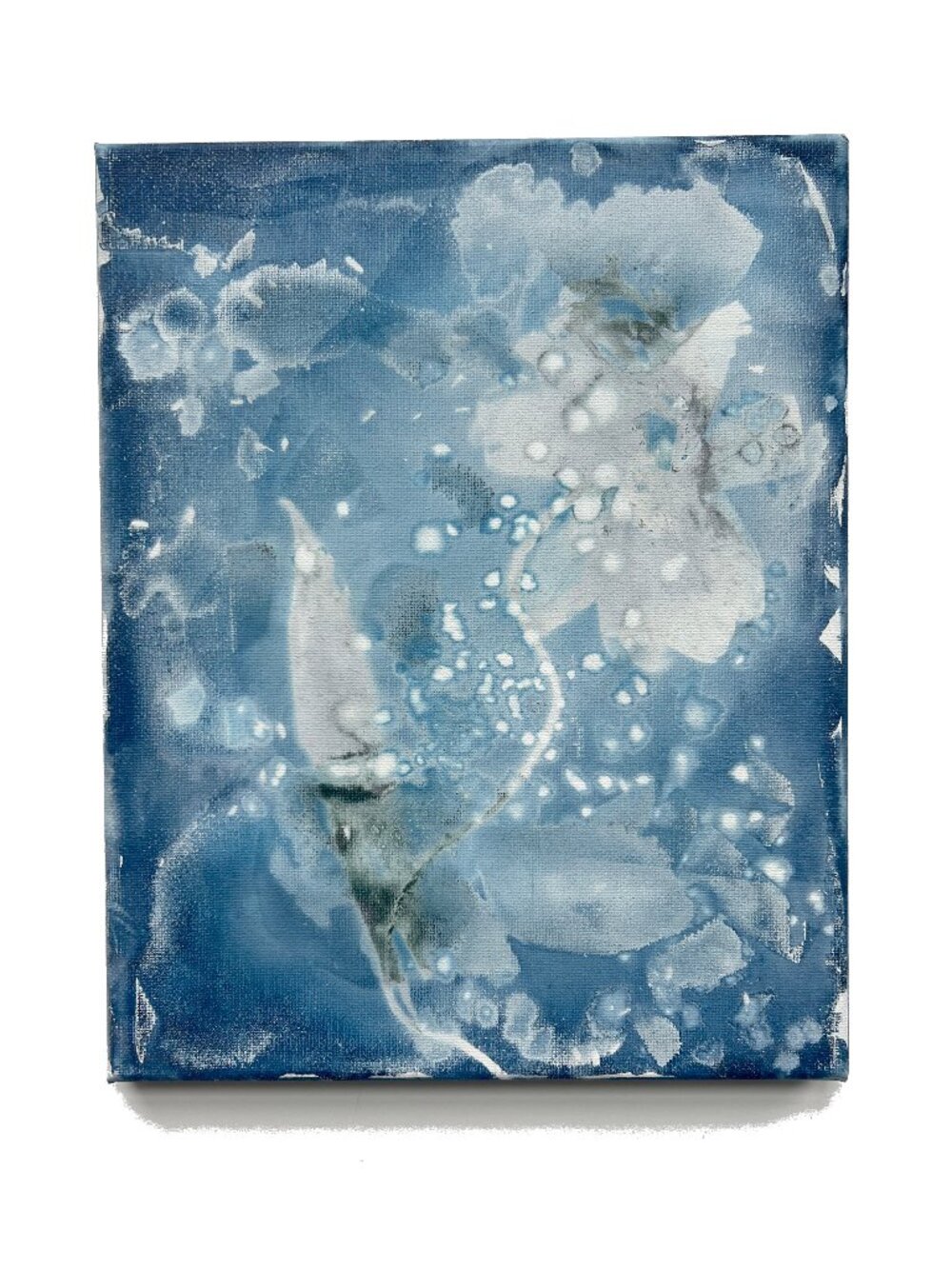Cyanotype of Flowers, one of a kind original artwork on stretched canvas